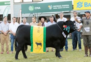 FIERGS na 45ª Expointer 