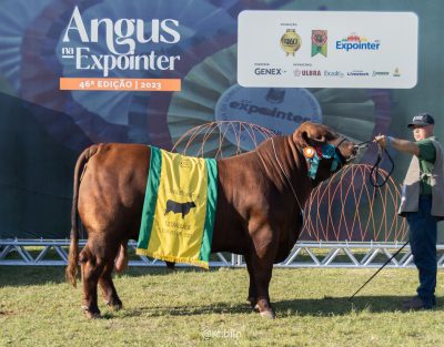 FIERGS na 45ª Expointer 